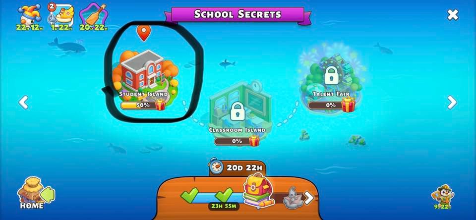 school secrets pink bags